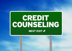 Michigan Pre-bankruptcy credit couseling